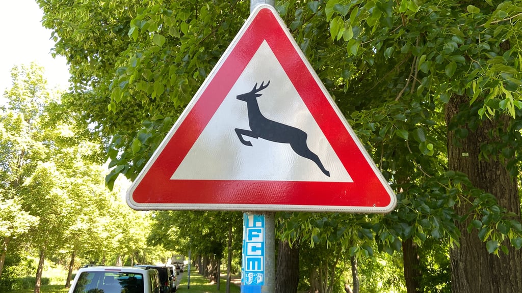 Schilder, wie dieses im Rotehornpark in Magdeburg, weisen auf Wildwechsel hin.