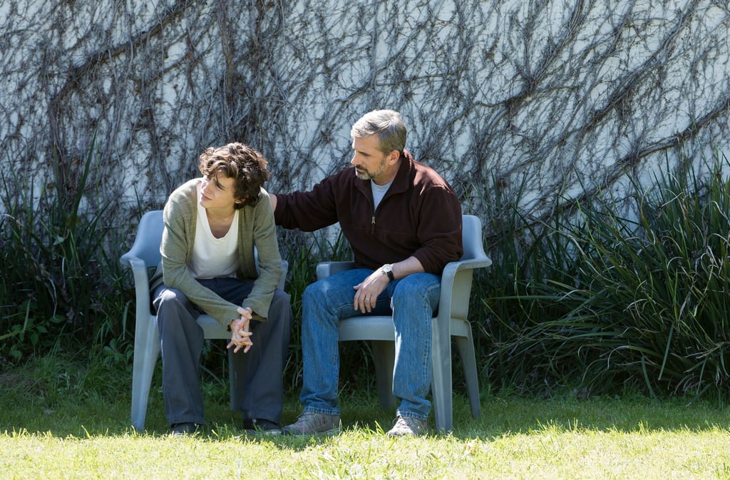 Vater David (Steve Carell, r) und Sohn Nic Sheff (Timothée Chalamet, l) müssen reden.