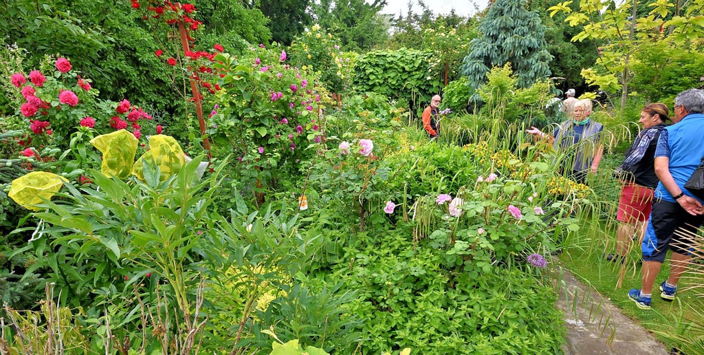 Im Garten von Harald Kottler in Aschersleben blüht und grünt es in jeder Ecke.
