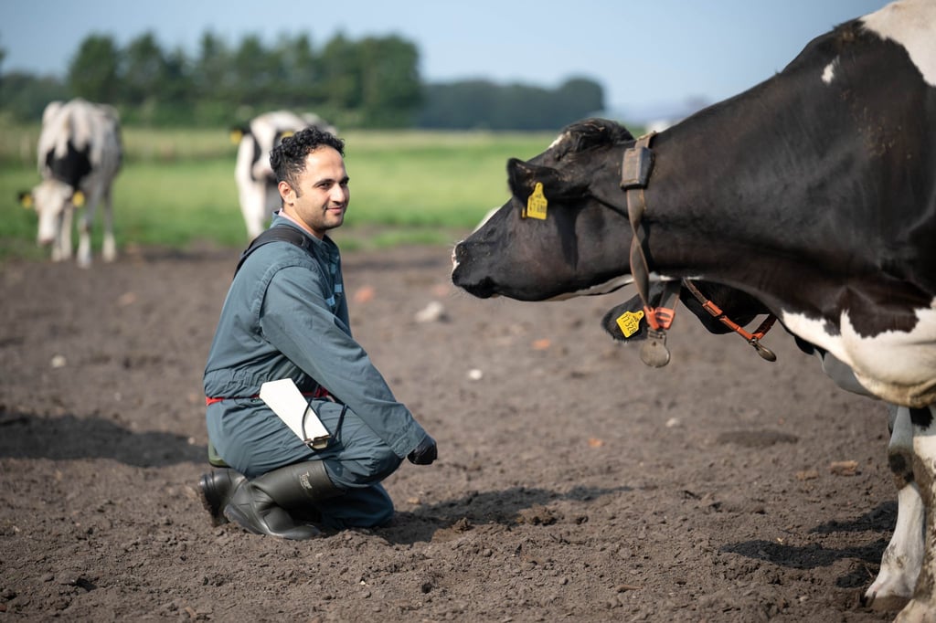 Tierarzt Mohammad Ranjbar ist Ende 2024 aus dem Iran in die niedersächsische Provinz gezogen.