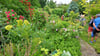 Im Garten von Harald Kottler in Aschersleben blüht und grünt es in allen Ecken. 