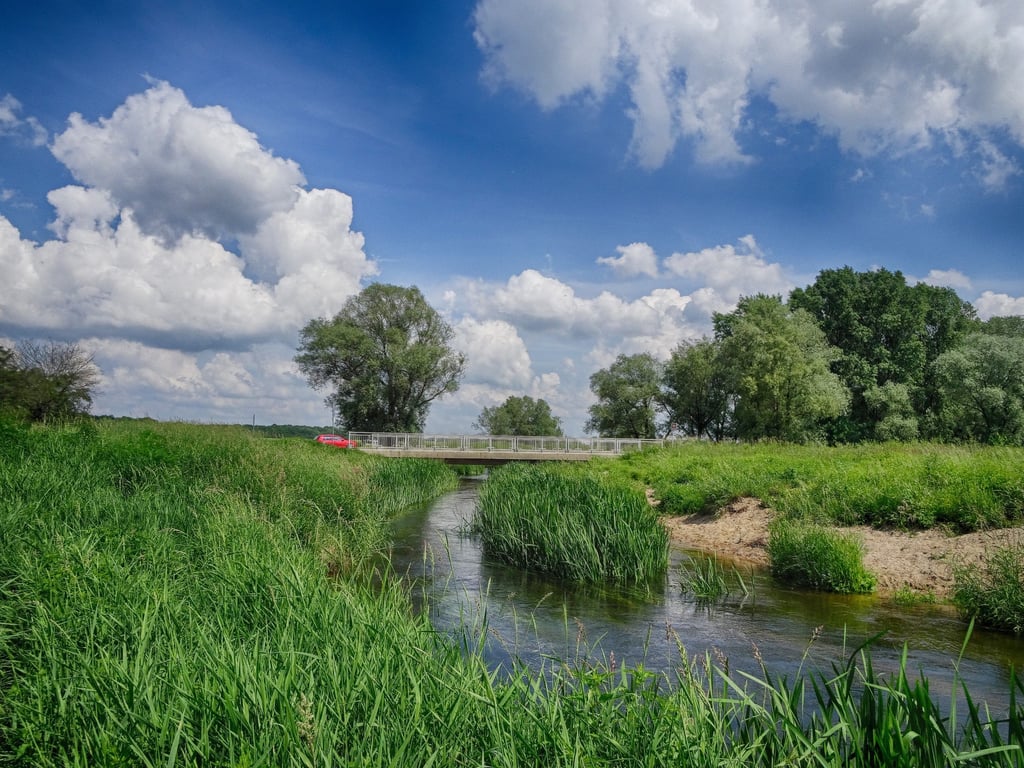 25 Jahre nach Kriegsende verstreuten sowjetische Soldaten die Überreste Hitlers an der Schweinebrücke bei Biederitz in der Nähe von Magdeburg.