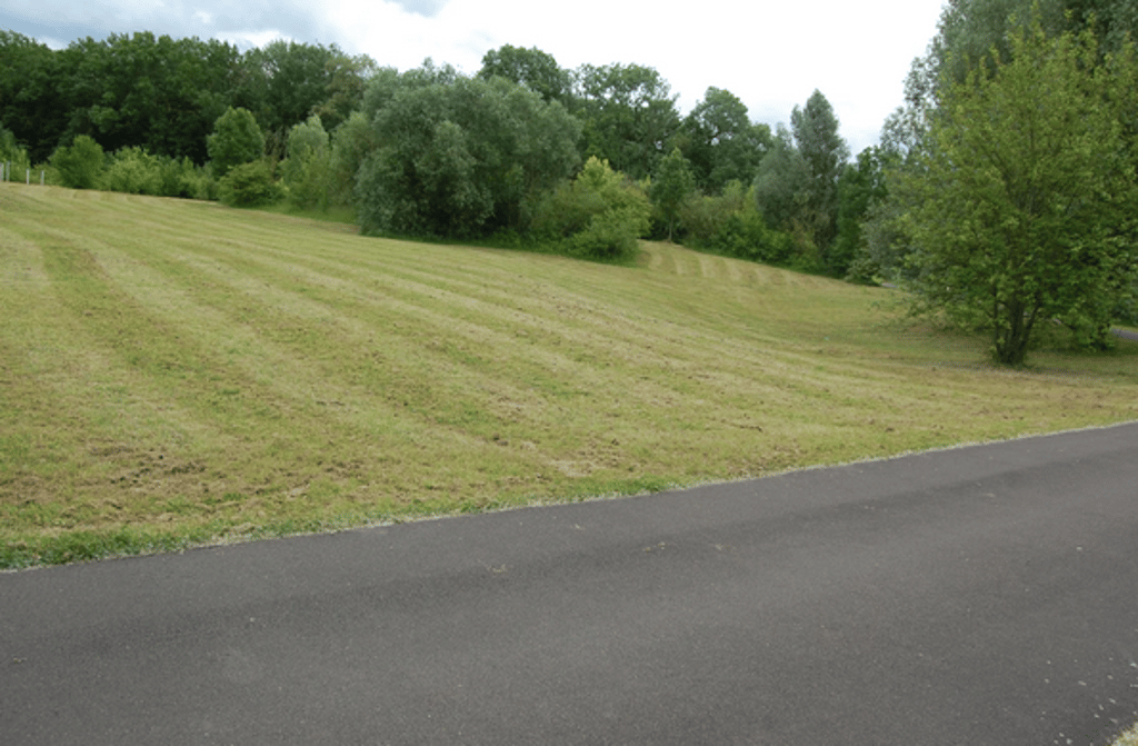 Auf dem Weg im Vordergrund soll der Transporter mit der LED-Leinwand stehen, die Wiese wird mit Picknickdecken zum Zuschauerraum.