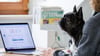 Gut fürs Betriebsklima: Wenn man seinen Hund mit zur Arbeit nehmen kann, profitieren viele Seiten.