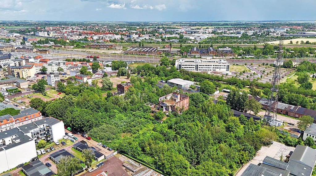 Dieses grüne Areal am alten Thüringer Bahnhof in Halle soll bebaut werden. Im Hintergrund sieht man das RAW Gelände.