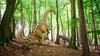 Im Wildpark Schwarze Berge können Besucher die Spuren der Dinosaurier verfolgen.