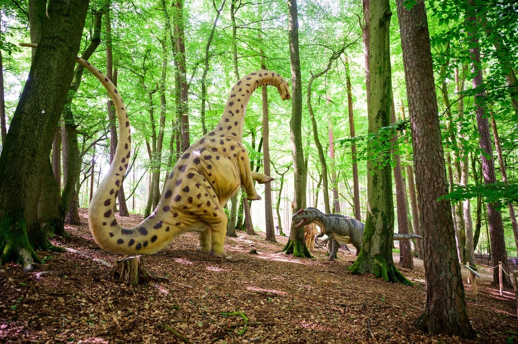 Im Wildpark Schwarze Berge können Besucher die Spuren der Dinosaurier verfolgen.