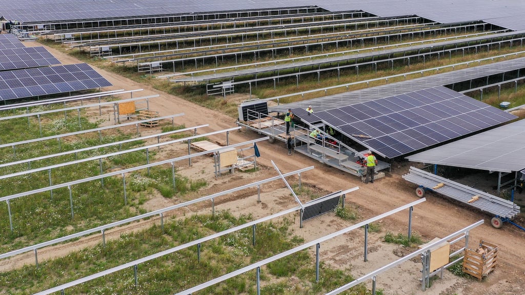 Ein Solarpark im Bau.