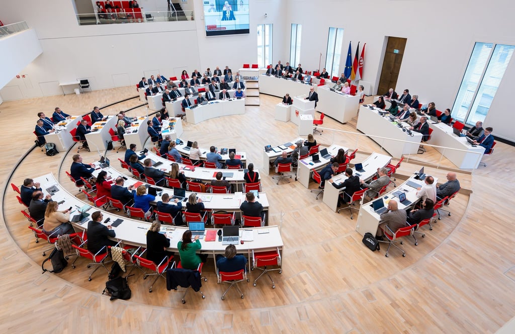 Der Brandenburger Landtag stimmt nächste Woche über den Landeshaushalt ab - vorher appellieren SPD und BSW an alle Abgeordneten zuzustimmen (Archivbild).
