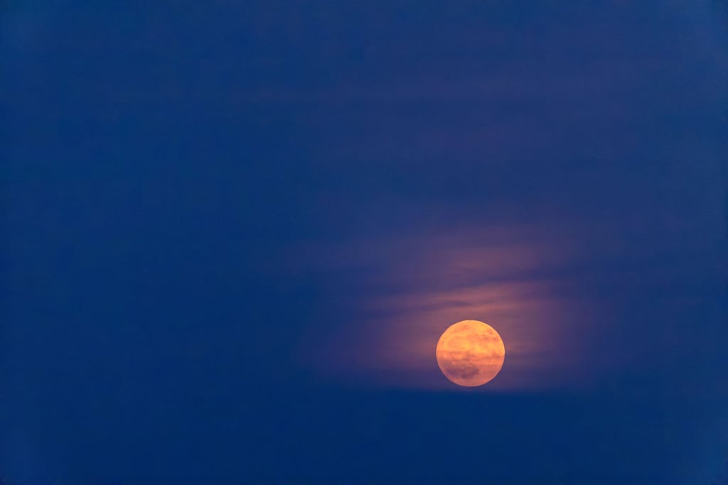 Der Erdbeermond steht tief am Horizont. Dadurch erscheint er besonders groß.