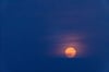Der Erdbeermond steht tief am Horizont. Dadurch erscheint er besonders groß. 