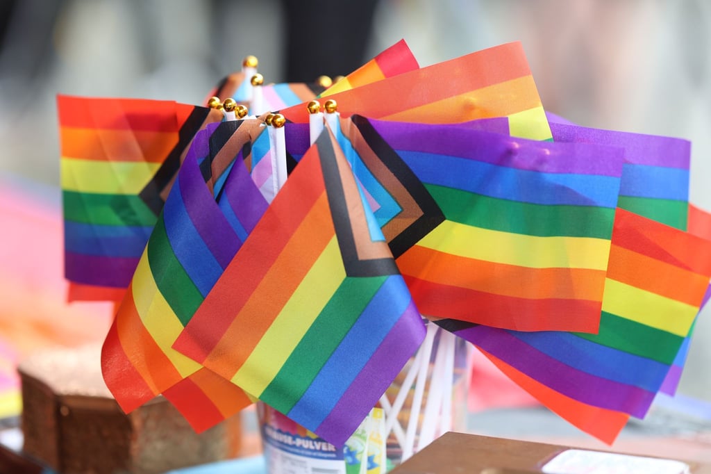 Ein 20-Jähriger soll Gewalt gegen die Teilnehmer des Christopher Street Day in Wernigerode angedroht haben. (Archivfoto)