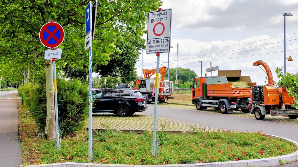 Hier werden Parkplätze vorbereitet für das Stadtfest, nur Mitwirkende dürfen dort ihre Fahrzeuge abstellen.