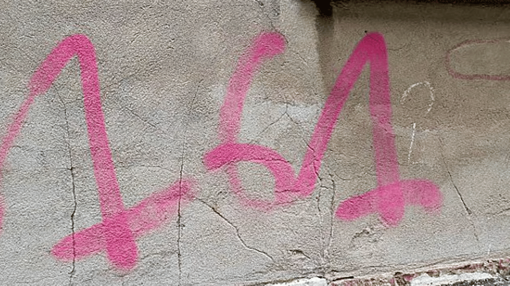 Die Polizei Dessau ermittelt wegen dutzender Graffiti mit politischem Hintergrund.