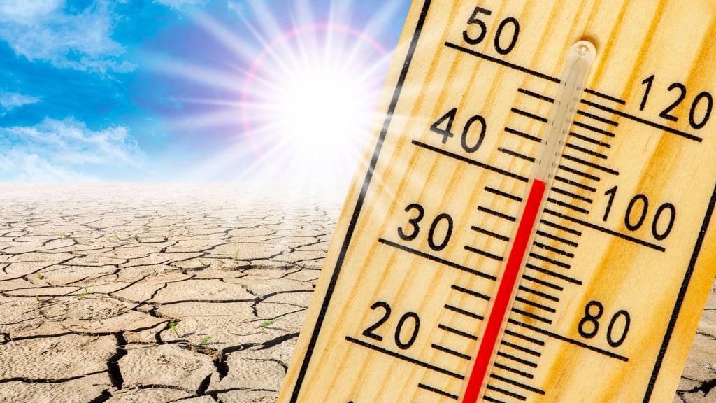 Extreme Hitze und Dürre werden derzeit für den Sommer in Deutschland vorausgesagt.