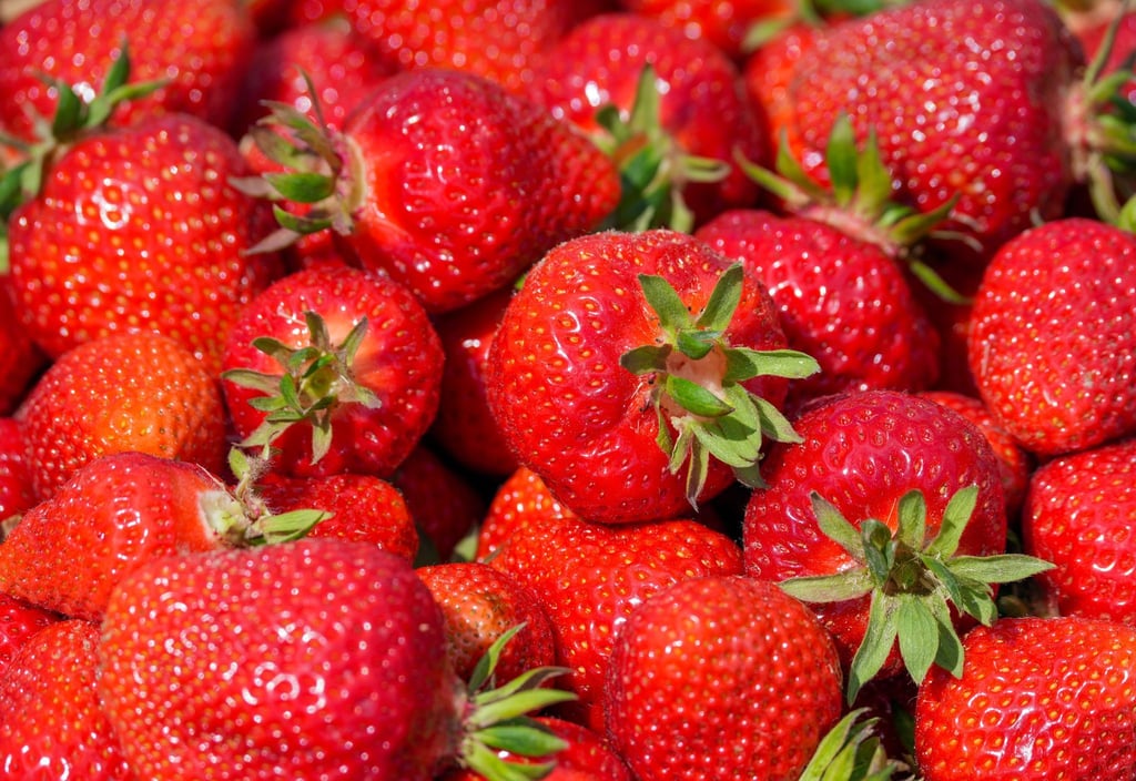 Nachts pflücken Diebe auf einer Plantage Erdbeeren - doch dann kommt die Polizei. (Symbolbild)
