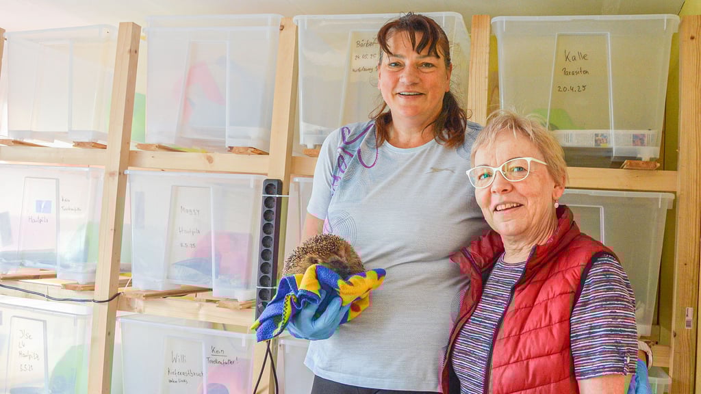 Igelhilfe-Vorsitzende Kerstin Keil (l.) und Helferin Sabine Hahn kümmern sich täglich mehrere Stunden um die verletzten Igel. Die nehmen aktuell überhand. Es wird dringend Hilfe benötigt.