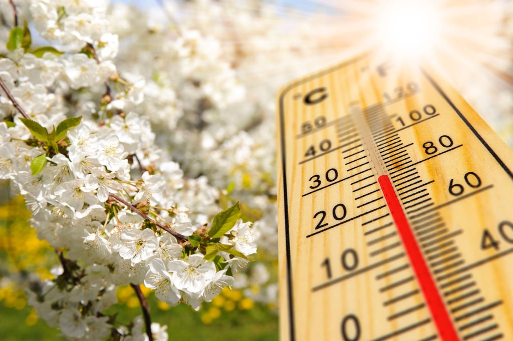 Pünktlich zu den langersehnten Sommerferien in Sachsen-Anhalt, steigen auch die Temperaturen kontinuierlich. Was hilft aber wirklich gegen die Hitze in den Sommermonaten?