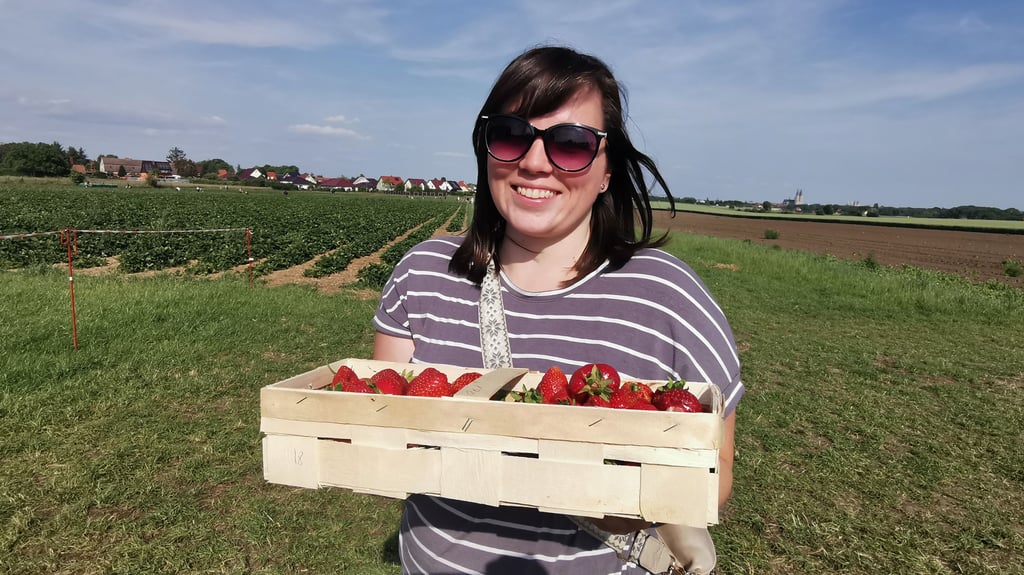 Das hat sich gelohnt: Juliane Rospleszsz trägt einen vollen Korb Erdbeeren vom Feld bei Halberstadt nach Hause.
