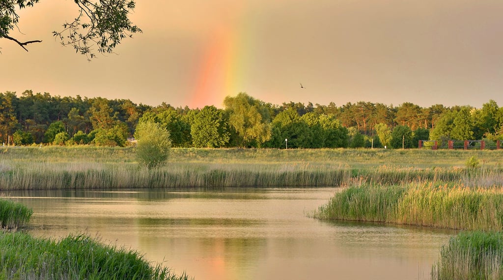 Unter einer dicken Regenwolke leuchtet ein Stück eines Regenbogens über der Alten Elbe bei Plötzky.