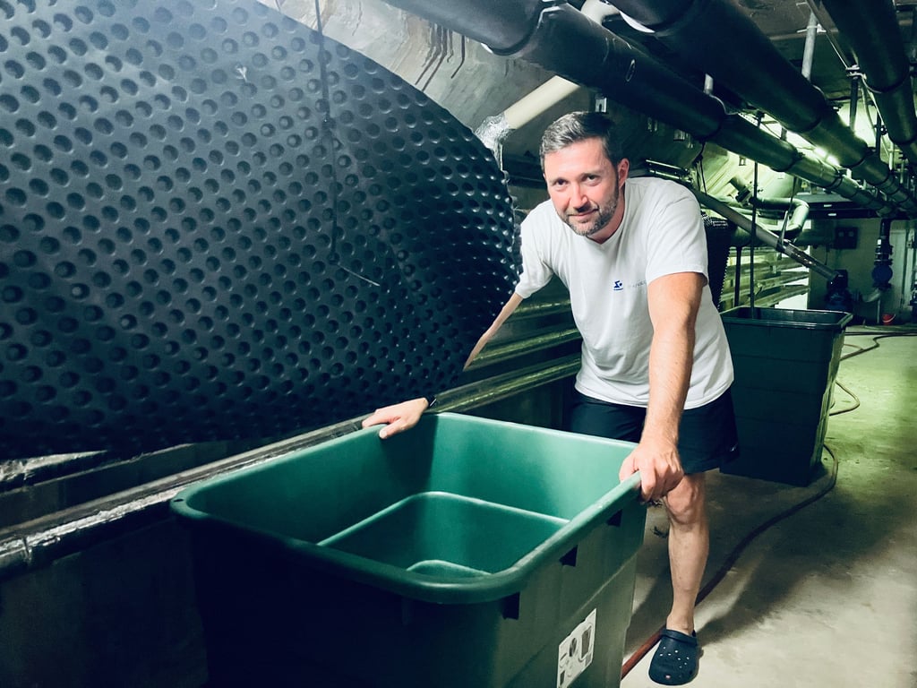 Im Keller der Schwimmhalle Merseburg haben Jan-Markus Knapp und sein Team Tonnen aufgestellt, mit dem sie das durchsickernde Beckenwasser auffangen.