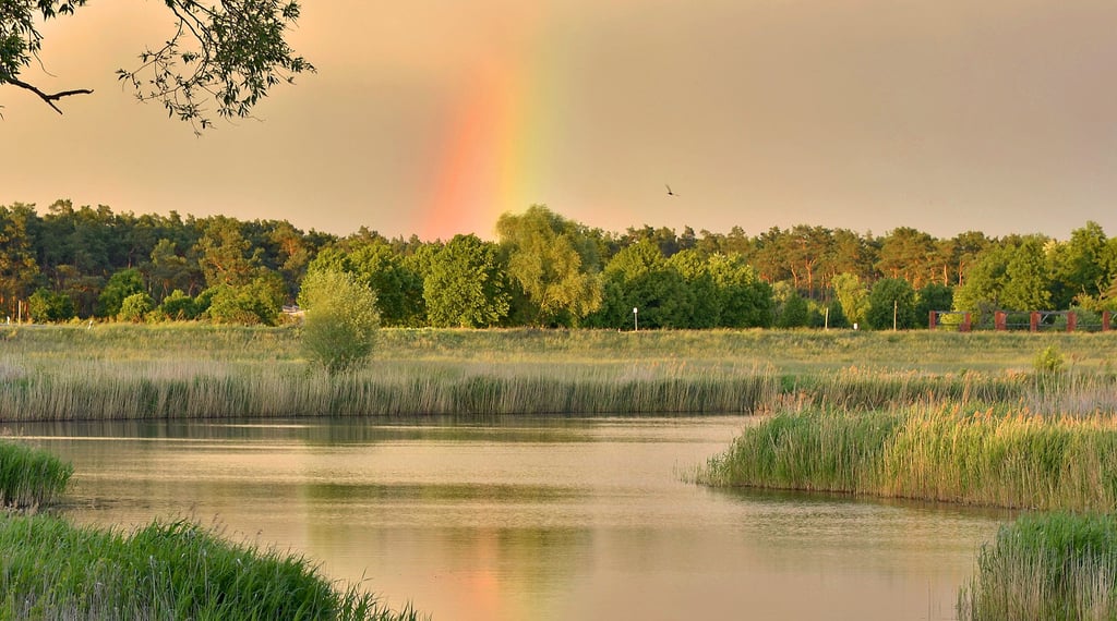 Unter einer dicken Regenwolke leuchtet ein Stück eines Regenbogens über der Alten Elbe bei Plötzky.