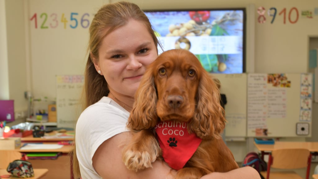 Schulhündin Coco mit Besitzerin Nathalie Wachsmann, die mit ihrer Unterstützung an einer Magdeburger Grundschule unterrichtet.