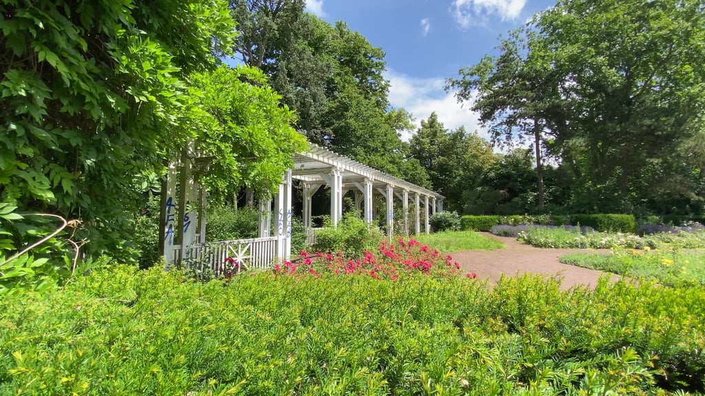 Blick in den Vogelgesang-Park in Magdeburg. Im Rosengarten wird zu Kaffee und Kuchen eingeladen.