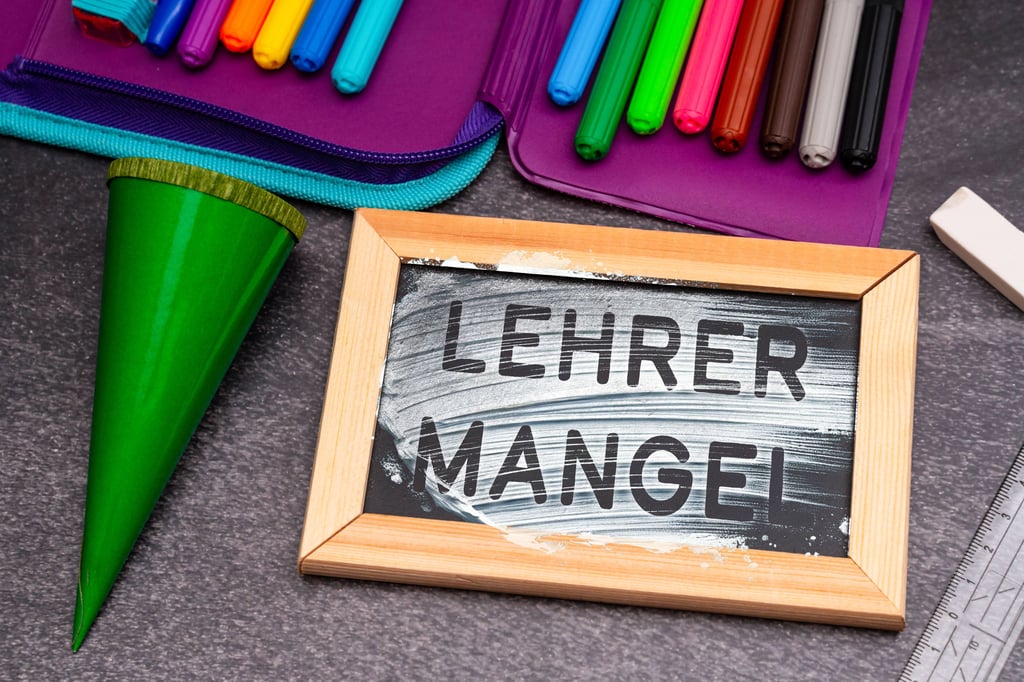 Mit alternativen Methoden sollte der Lehrermangel bekämpft werden, fordert die CDU-Landtagsabgeordnete Anja Schneider und kämpft für die Umsetzung des "Dessauer Modells" an den Hochschulen des Landes.
