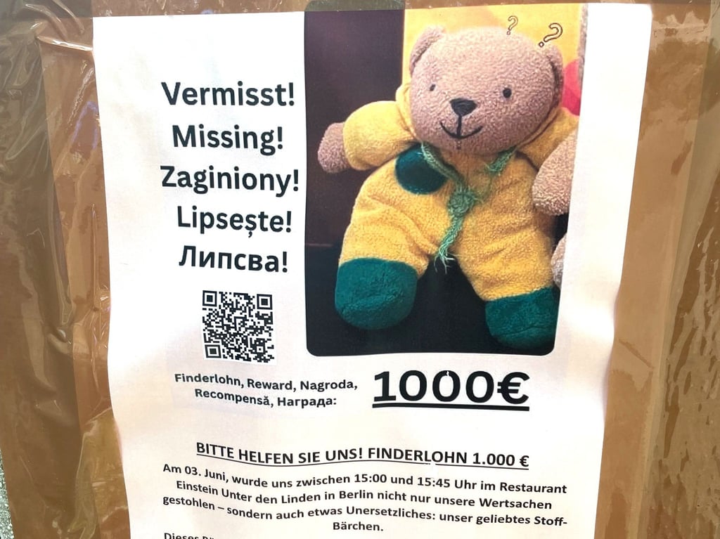 Ein Plakat zu einer Suchaktion. (Archivbild)