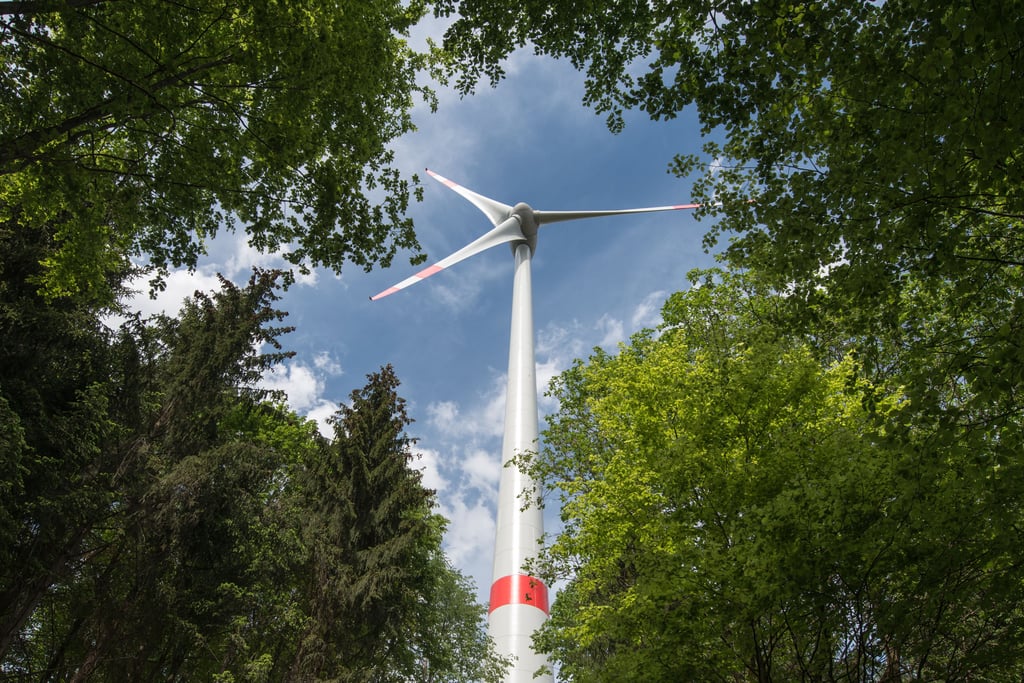 So wie hier in der Oberpfalz würde es auch im Südharz aussehen, wenn Windräder auf früheren Waldflächen aufgestellt würden und die Bäume nachgewachsen wären. Die Bürger von Harztor sind klar gegen das Projekt.