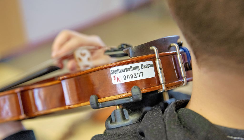 Dank des Musikschulförderkreises konnten Geigen in Klassensatzstärke angeschafft werden.