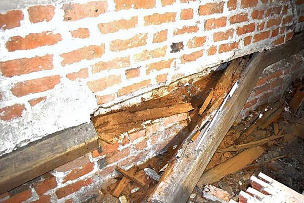 Die Sanierungsarbeiten in der Gardelegener Marienkirche werden fortgesetzt. Dieses Mal geht es direkt unters Dach, um verfaulte und beschädigte Balken auszutauschen.