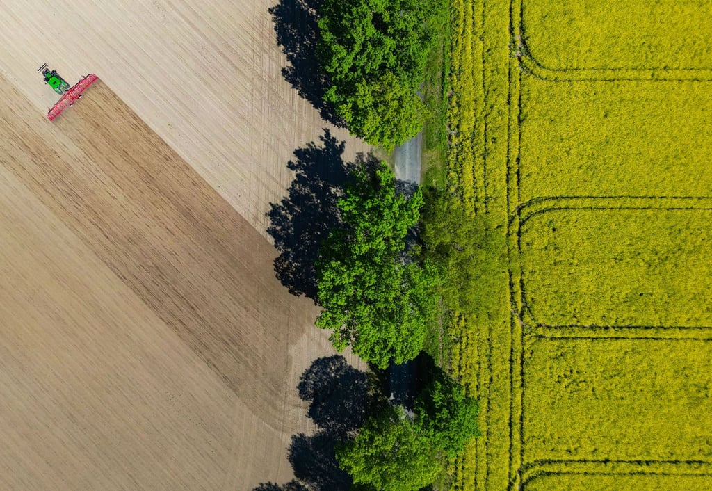 Nach Angaben des Agrarmarketing-Verbandes Pro Agro werden in Brandenburg 45 Prozent der Bodenfläche landwirtschaftlich genutzt. (Symbolbild)