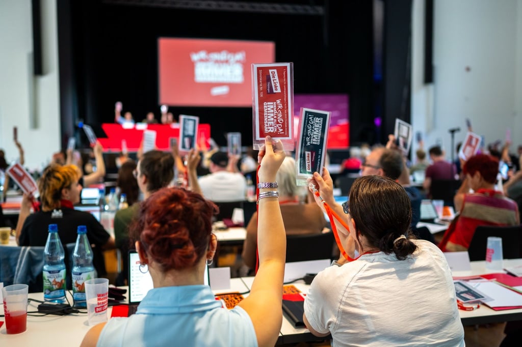 Die Linke erlaubt nicht, dass der Fraktionsvorsitzende in einer Übergangszeit auch Parteichef sein kann.