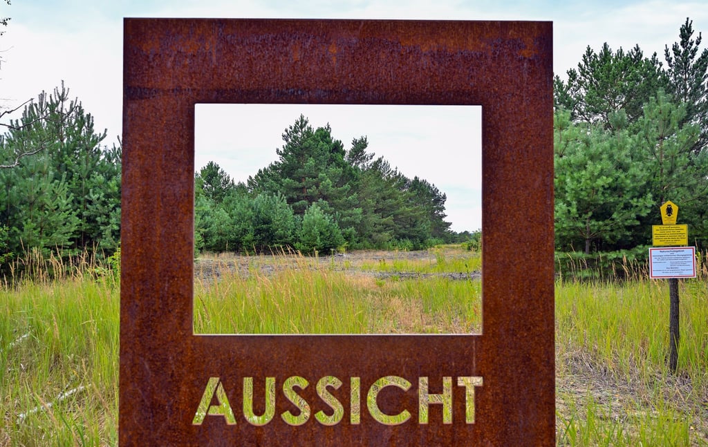 In der Lieberose Heide schützt die Stiftung Naturlandschaften Brandenburg die Natur auf einem ehemaligen Truppenübungsplatz. Die Stiftung, die noch drei andere Flächen besitzt, feiert 25-jähriges Jubiläum.