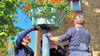 Mitarbeiter der Stadt haben die Blumenampeln angebracht