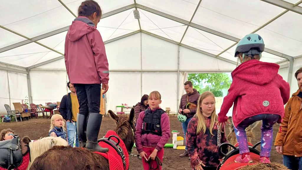 Die Kinder lernen spielerisch den Umgang mit den Tieren - dazu gehören auch Gleichgewichtsübungen auf Pferd und Esel.
