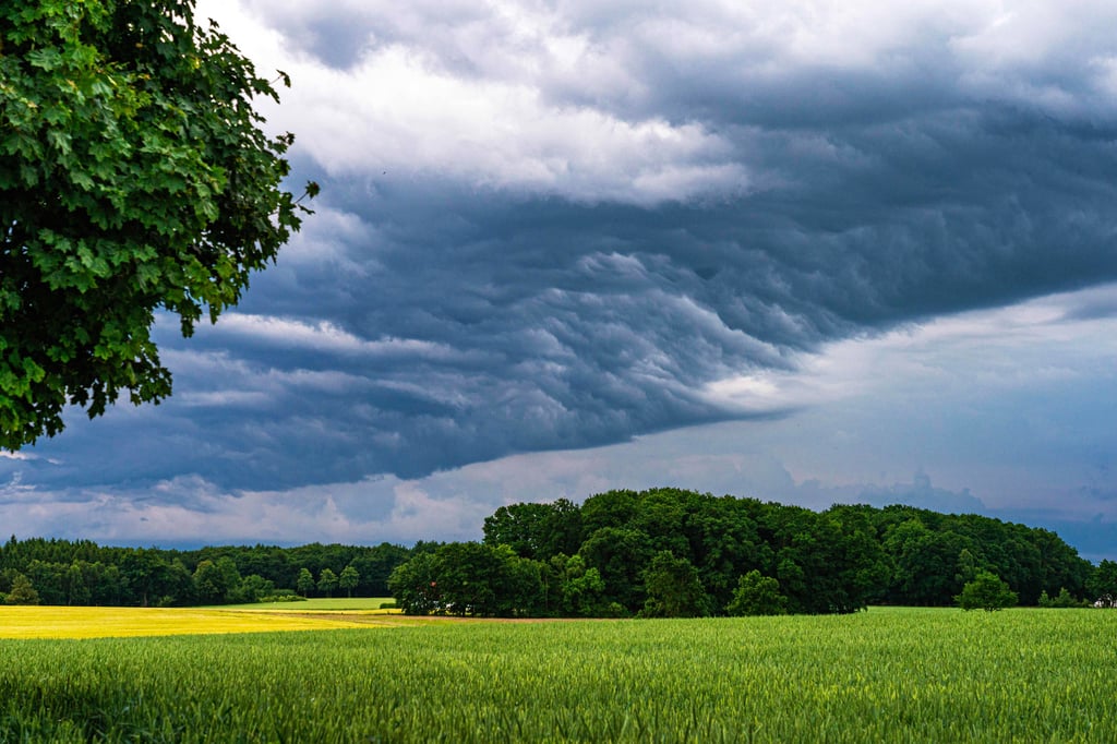 Bedrohlicher Himmel über dem Land: Dunkle Wolken türmen sich in einigen Teilen des Landes über Sachsen-Anhalt – der Deutsche Wetterdienst warnt vor schweren Gewittern mit Starkregen und Hagel.