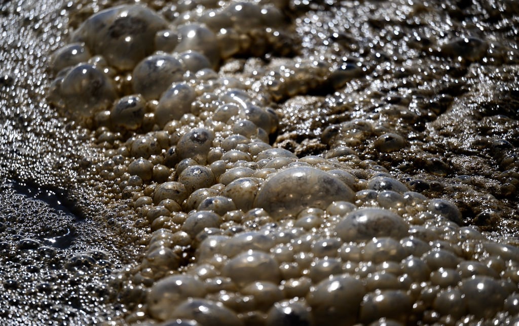 Abwasser ergoss sich in die Unstrut. (Symbolbild)