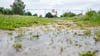In Vechta ist der Bereich um ein Regenrückhaltebecken gesperrt, es wird dort versucht, einen Alligator mit einer Lebendfalle einzufangen.
