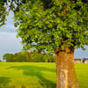 Sommeridylle vor dem Wetterumschwung: Noch zeigt sich das Wetter in Sachsen-Anhalt sonnig und ruhig – doch bereits am Nachmittag drohen Gewitter, Starkregen und stürmische Böen.