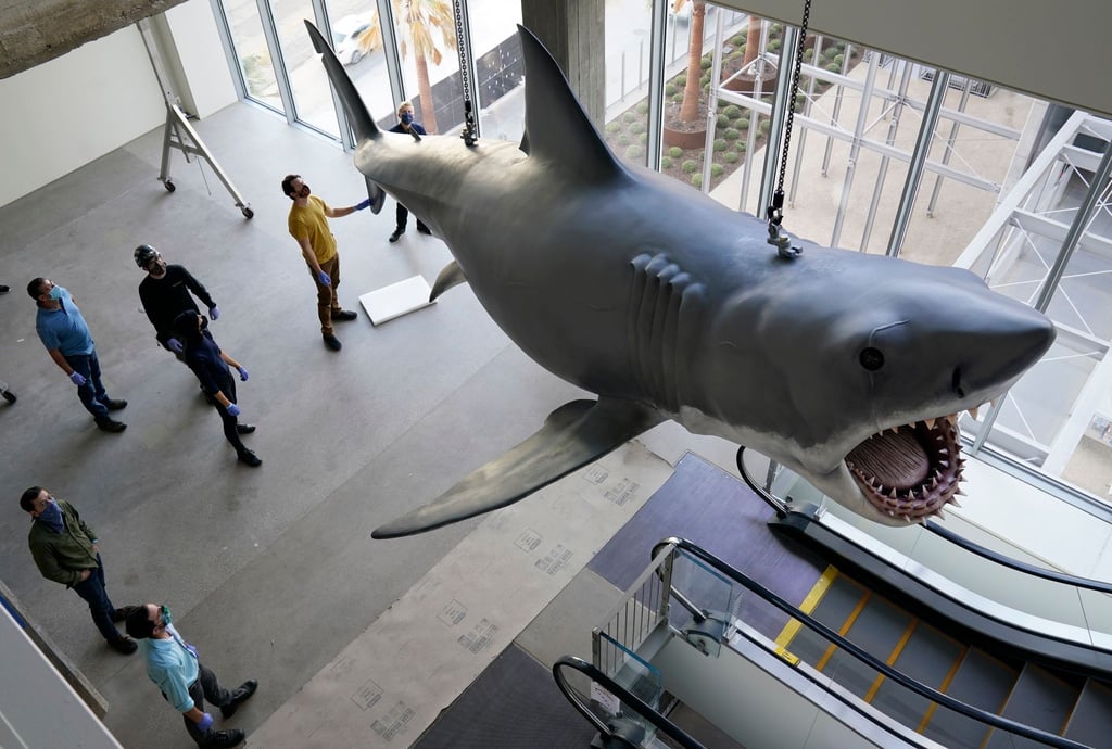 Mit dem mechanischen Hai „Bruce“, hier restauriert im Academy Museum of Motion Pictures in Los Angeles, gab es bei den Dreharbeiten zu „Der weiße Hai“ mannigfaltige Probleme. (Archivbild)