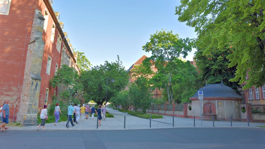 Mit dem Kloster St. Claren links und dem Goethegymnasium rechts soll um den Rosalskyweg herum der Weißenfelser Bildungscampus entstehen.