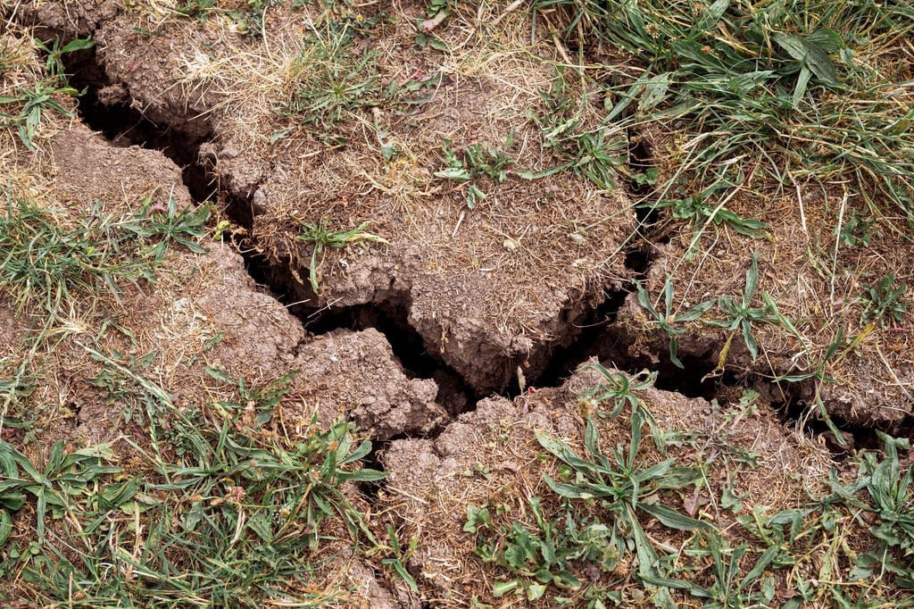 In vielen Brandenburger Landkreisen wird mehr Wasser entnommen als neu gebildet wird. (Symbolbild)