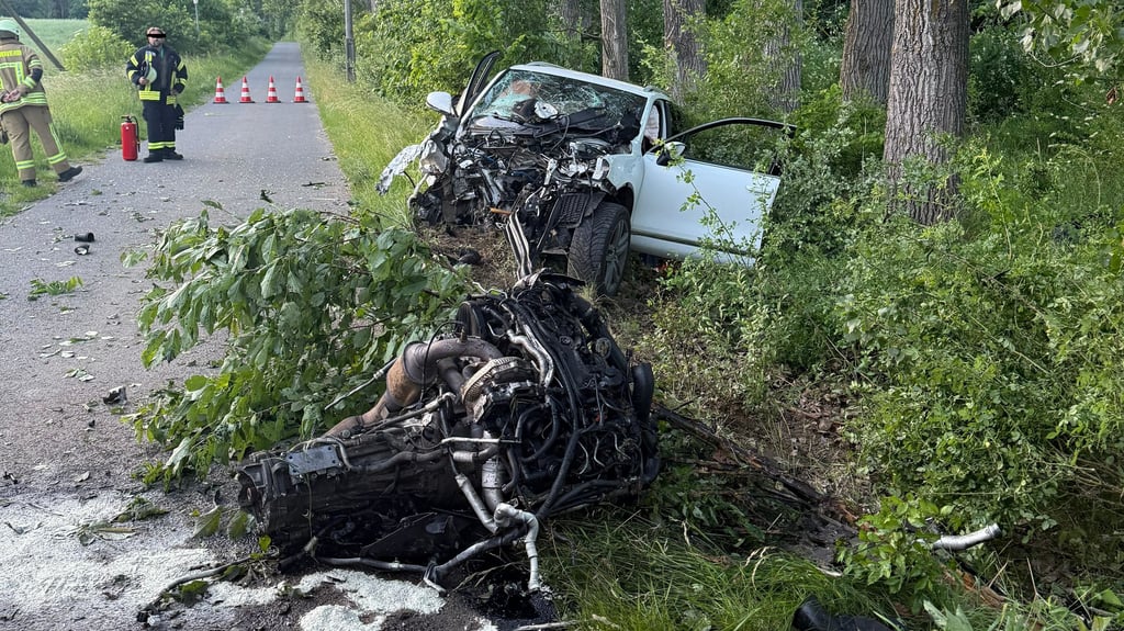 Ein Auto mit tschechischem Kennzeichen krachte gegen einen Baum, die Fahrerin zunächst von der Unfallstelle.