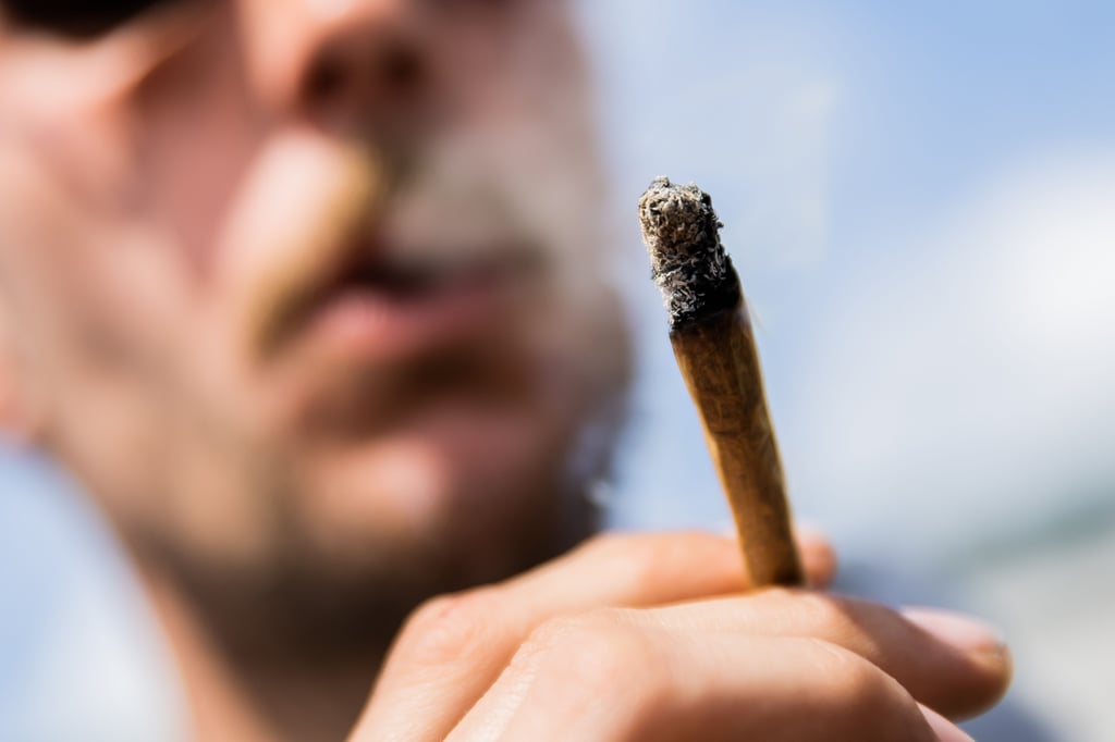 In einer Hausdurchsuchung findet die Polizei bei einem Sozialpädagogen aus Jessen Cannabis für rund 18.000 Joints.
