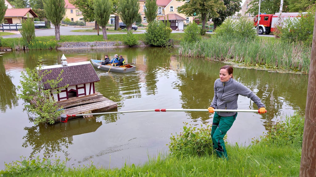 Vom Loitzschützer Teich werden von Wasserproben entnommen. Am Ufer von der Infra-Laborleiterin Franziska Mai.