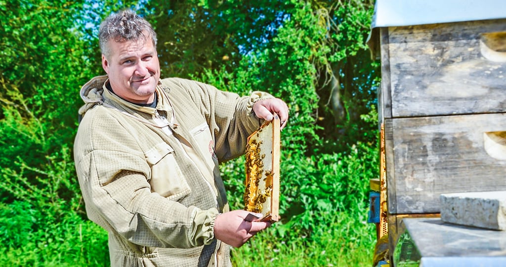 Andreas Lange sammelt rund um Magdeburg und in der Börde heimatlose Bienenschwärme ein, die sich zum Teil an unerwünschten Orten niederlassen. Anrufe erhält er dazu auch von der Rettungsleitstelle. Unter anderem in Barleben auf einem Firmengelände finden die Bienen ein neues Zuhause.