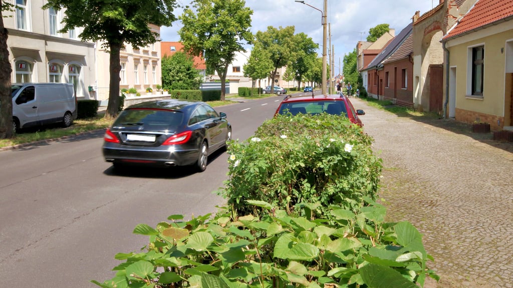 Nach einem Ausbau sollen die Radfahrer in der Nienburger Straße auf einer breiteren Straße fahren können. Platz dafür gibt es ausreichend.